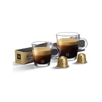 Master Origin Nicaragua